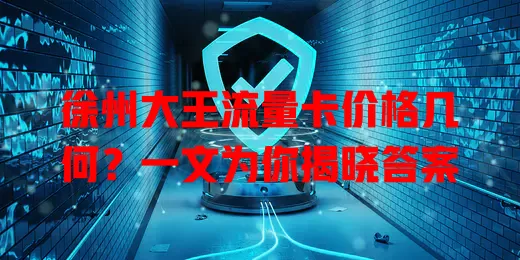 徐州大王流量卡价格几何?一文为你揭晓答案