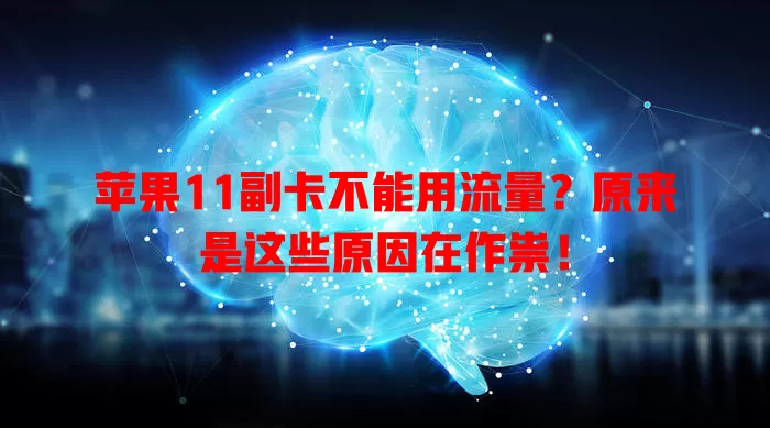 苹果11副卡不能用流量?原来是这些原因在作祟!