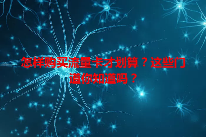 怎样购买流量卡才划算?这些门道你知道吗?