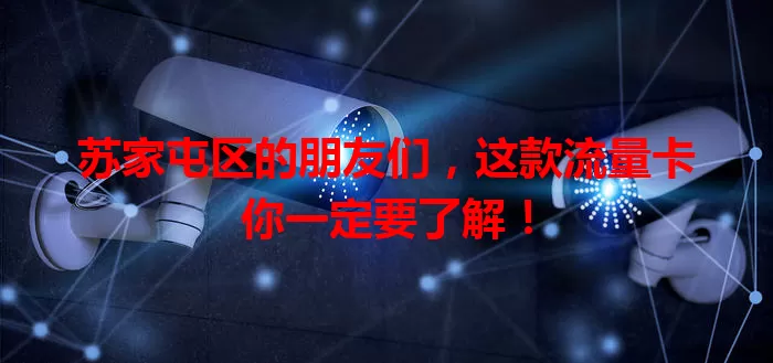 苏家屯区的朋友们,这款流量卡你一定要了解!