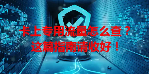 卡上专用流量怎么查?这篇指南请收好!