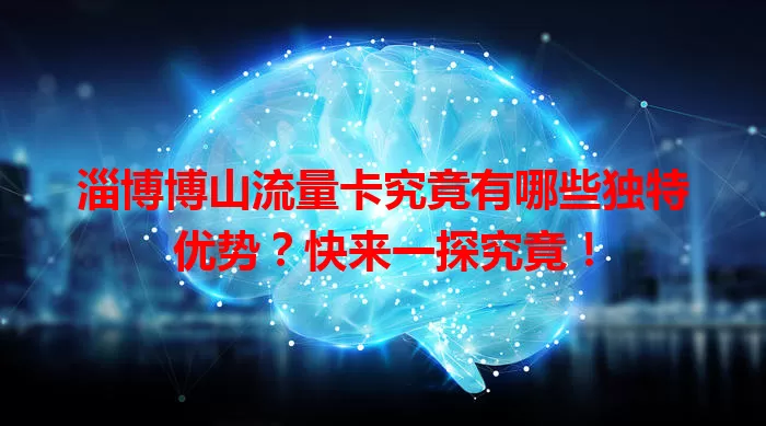 淄博博山流量卡究竟有哪些独特优势?快来一探究竟!
