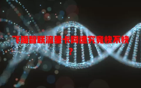 飞猫智联流量卡网速究竟快不快？