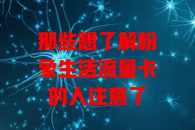 那些想了解粉象生活流量卡的人注意了