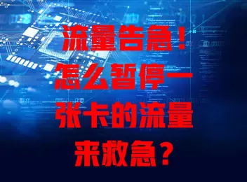 流量告急!怎么暂停一张卡的流量来救急?