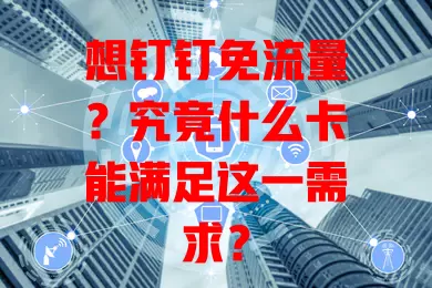 想钉钉免流量?究竟什么卡能满足这一需求?