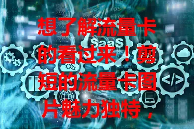 想了解流量卡的看过来!剪短的流量卡图片魅力独特,简洁明了,去除繁杂,关键信息一眼看清,方便忙碌的你快速掌握,还易传播分享,助你精准选卡。
