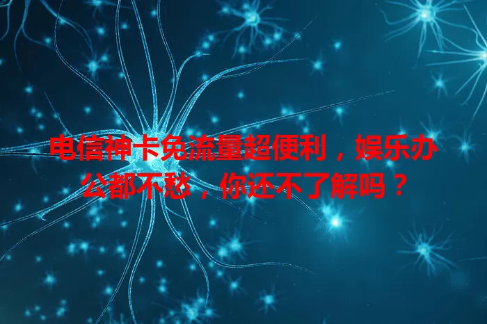 电信神卡免流量超便利,娱乐办公都不愁,你还不了解吗?