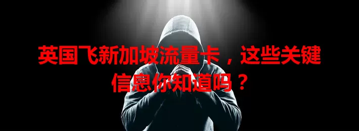 英国飞新加坡流量卡,这些关键信息你知道吗?