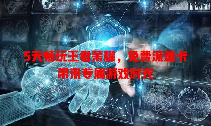 5天畅玩王者荣耀,免费流量卡带来专属游戏时光