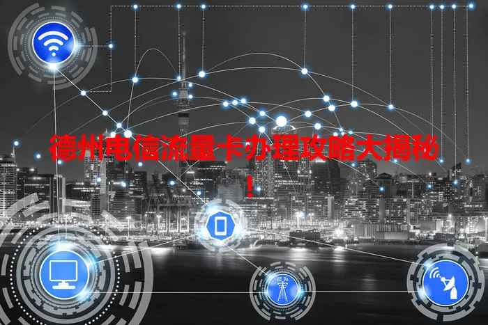 德州电信流量卡办理攻略大揭秘!