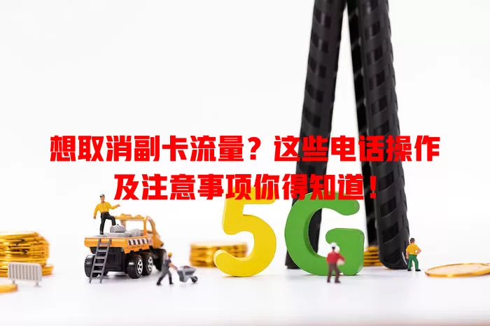 想取消副卡流量?这些电话操作及注意事项你得知道!