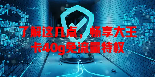 了解这几点,畅享大王卡40g免流量特权