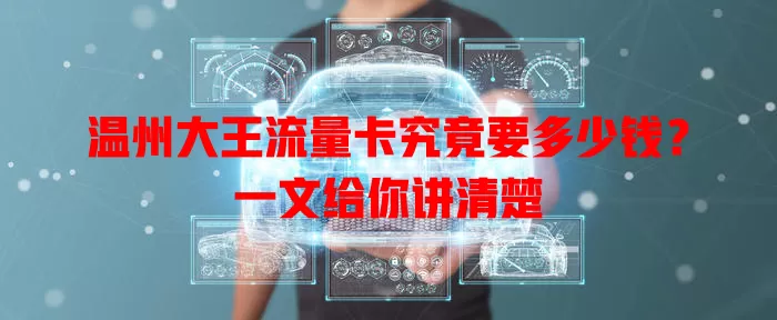温州大王流量卡究竟要多少钱?一文给你讲清楚