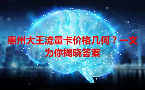 惠州大王流量卡价格几何？一文为你揭晓答案