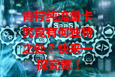青柠纯流量卡究竟有何独特之处?快来一探究竟!