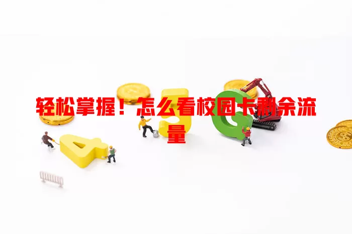 轻松掌握!怎么看校园卡剩余流量