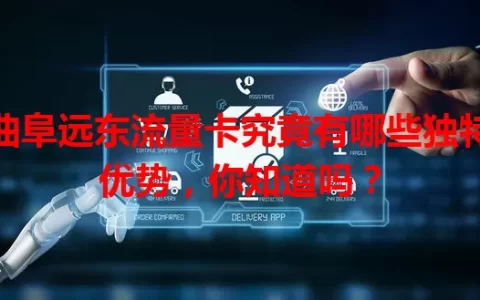 曲阜远东流量卡究竟有哪些独特优势，你知道吗？