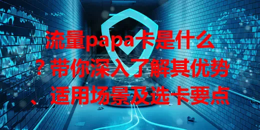流量papa卡是什么?带你深入了解其优势、适用场景及选卡要点