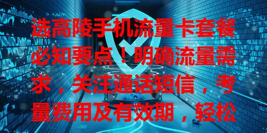 选高陵手机流量卡套餐必知要点!明确流量需求,关注通话短信,考量费用及有效期,轻松挑到适合的,畅享畅快流量