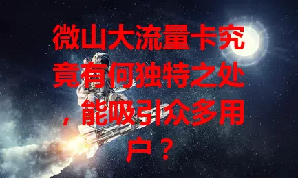微山大流量卡究竟有何独特之处,能吸引众多用户?