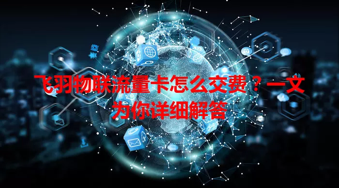 飞羽物联流量卡怎么交费?一文为你详细解答