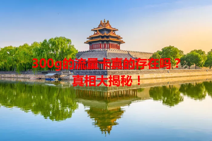 300g的流量卡真的存在吗?真相大揭秘!