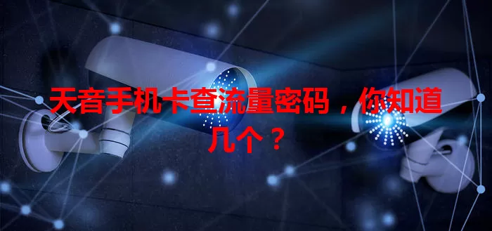 天音手机卡查流量密码,你知道几个?