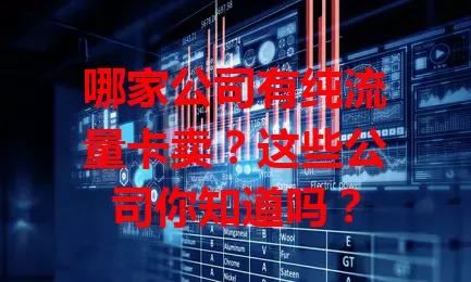 哪家公司有纯流量卡卖?这些公司你知道吗?