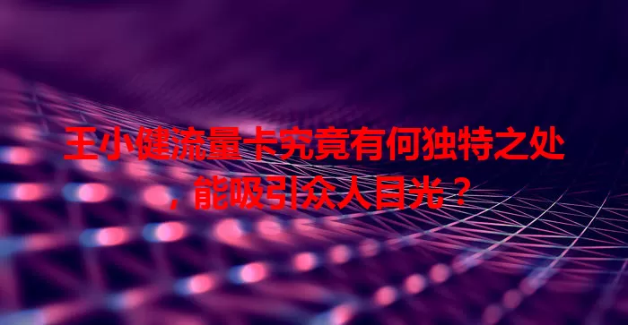 王小健流量卡究竟有何独特之处,能吸引众人目光?