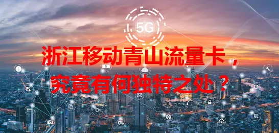 浙江移动青山流量卡,究竟有何独特之处?