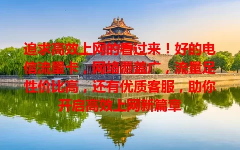 追求高效上网的看过来！好的电信流量卡，网络覆盖广，流量足性价比高，还有优质客服，助你开启高效上网新篇章