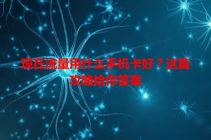 现在流量用什么手机卡好？这篇攻略给你答案