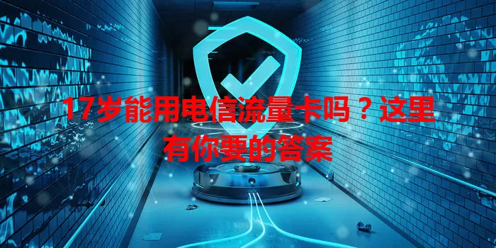 17岁能用电信流量卡吗?这里有你要的答案