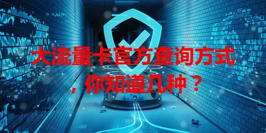 大流量卡官方查询方式,你知道几种?