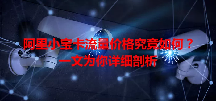 阿里小宝卡流量价格究竟如何?一文为你详细剖析