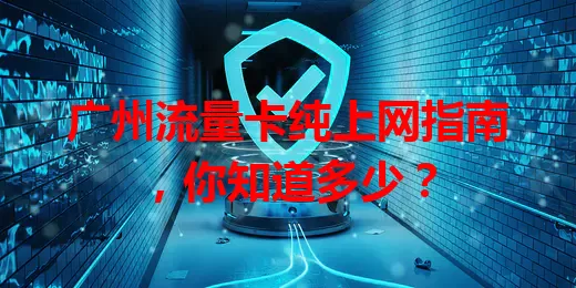 广州流量卡纯上网指南,你知道多少?