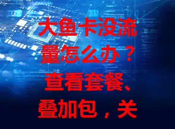 大鱼卡没流量怎么办？查看套餐、叠加包，关注活动，设置省流量，或升级套餐应对危机