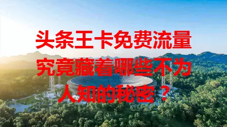 头条王卡免费流量究竟藏着哪些不为人知的秘密?