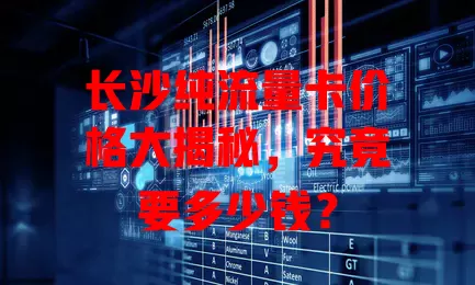 长沙纯流量卡价格大揭秘,究竟要多少钱?