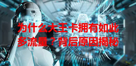 为什么大王卡拥有如此多流量?背后原因揭秘