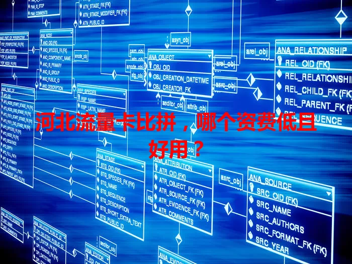 河北流量卡比拼,哪个资费低且好用?