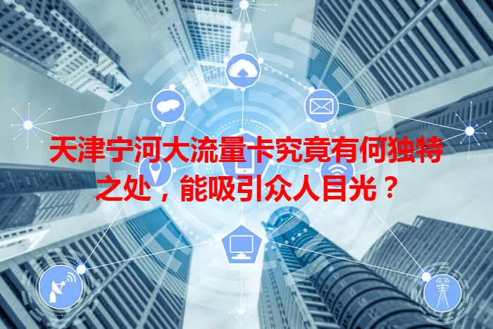 天津宁河大流量卡究竟有何独特之处,能吸引众人目光?
