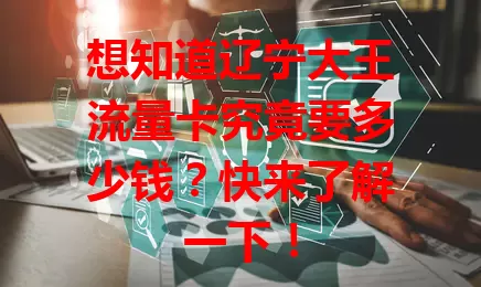 想知道辽宁大王流量卡究竟要多少钱?快来了解一下!