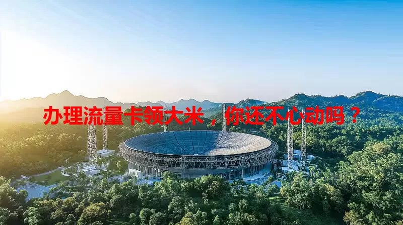 办理流量卡领大米,你还不心动吗?
