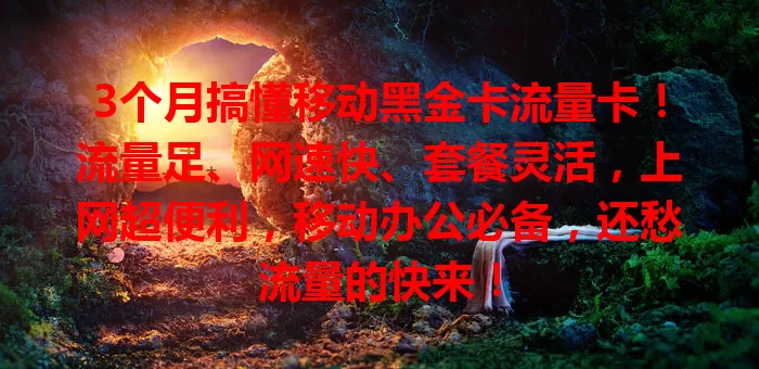 3个月搞懂移动黑金卡流量卡!流量足、网速快、套餐灵活,上网超便利,移动办公必备,还愁流量的快来!