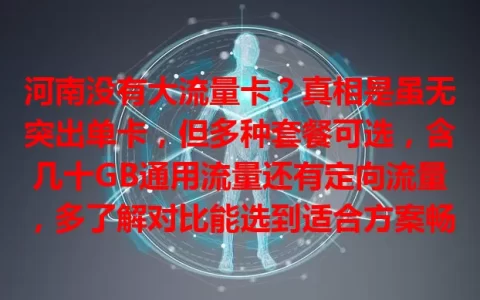 河南没有大流量卡？真相是虽无突出单卡，但多种套餐可选，含几十GB通用流量还有定向流量，多了解对比能选到适合方案畅享流量