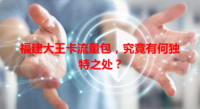 福建大王卡流量包,究竟有何独特之处?