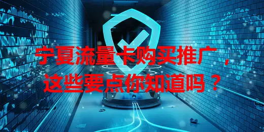 宁夏流量卡购买推广,这些要点你知道吗?