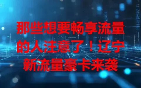 那些想要畅享流量的人注意了！辽宁新流量豪卡来袭